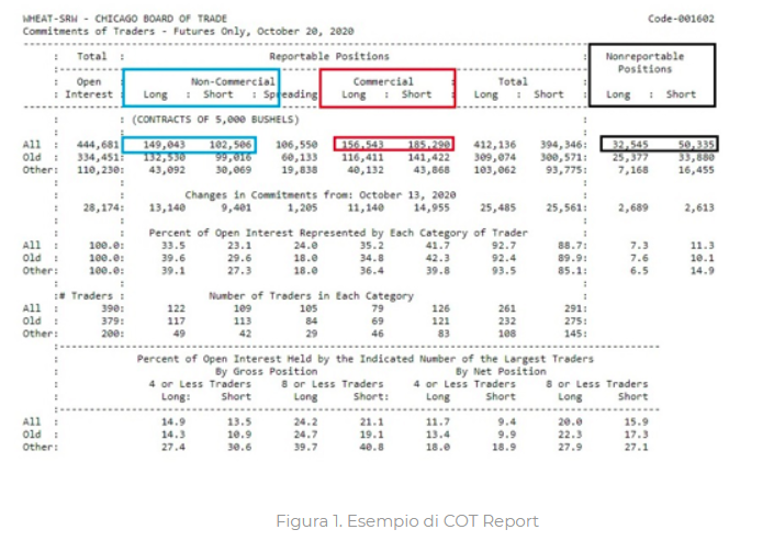 Esempio di Cot Report
